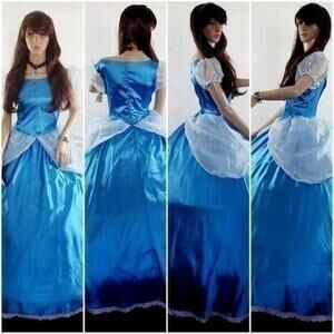 Princess Cinderella Cosplay Bubble Sleeve Halloween